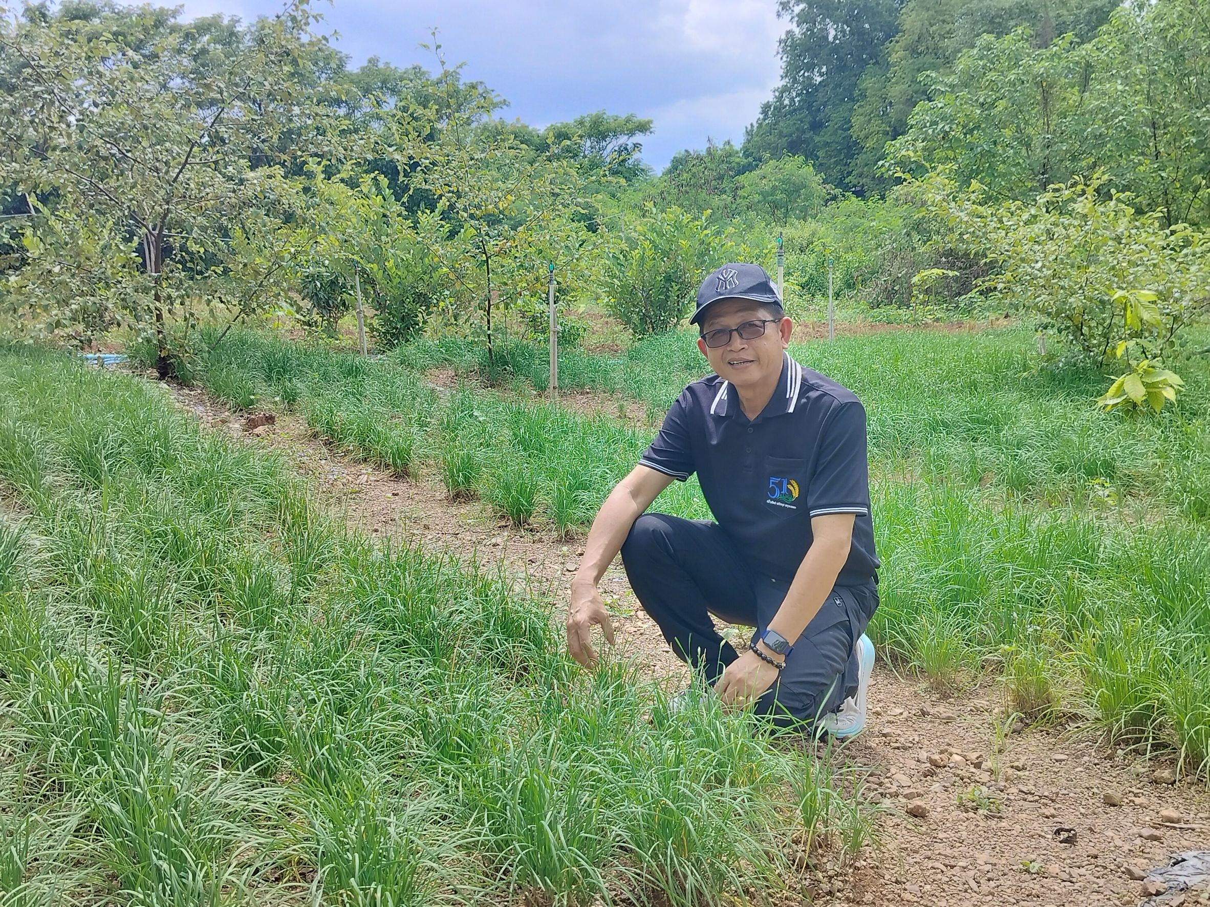 title - ผู้ตรวจราชการ ส.ป.ก. ประชุมติดตามความก้าวหน้าผลการดำเนินงานของ ส.ป.ก.ลพบุรี รอบที่ 2 ปีงบประมาณ พ.ศ. 2569 พร้อมตรวจเยี่ยมให้กำลังใจเกษตรกรในเขตปฏิรูปที่ดิน